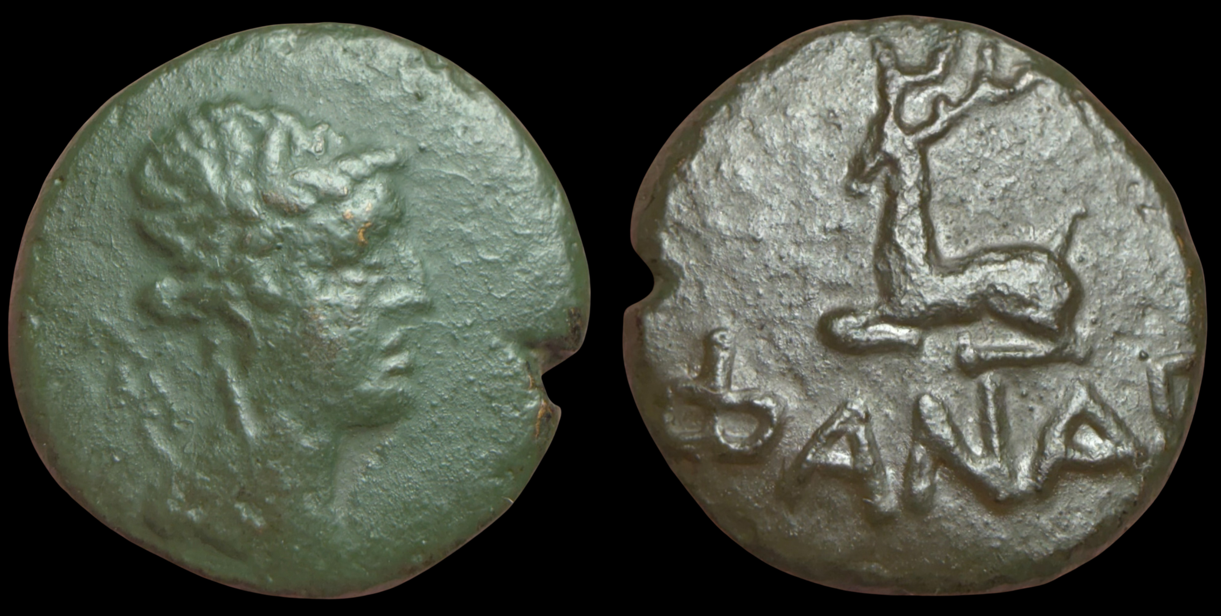 Cimmerian Bosporos, Phanagoria. Struck under Mithradates VI Eupator. AE Tetrachalkon, ca. 105-90 or 95-86 BC.