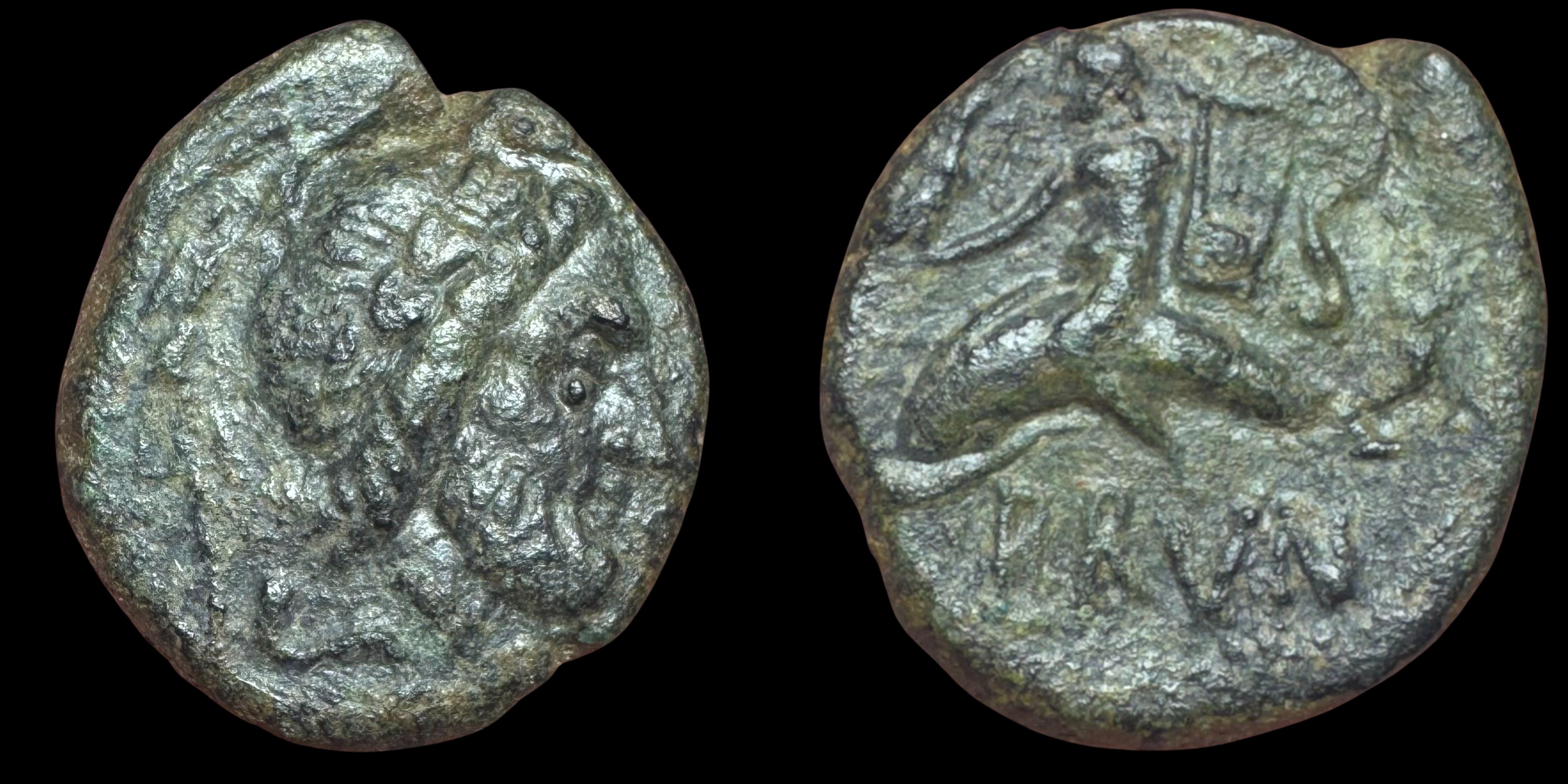Calabria, Brundisium. AE Semis. ca. 2nd century BC.
