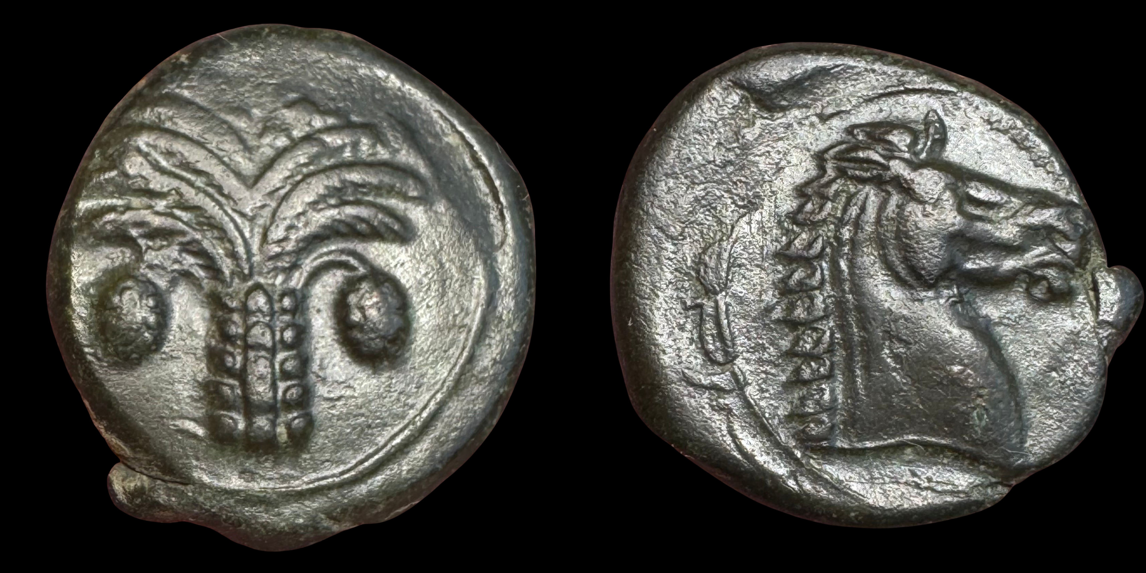 North Africa, Carthage. AE.
