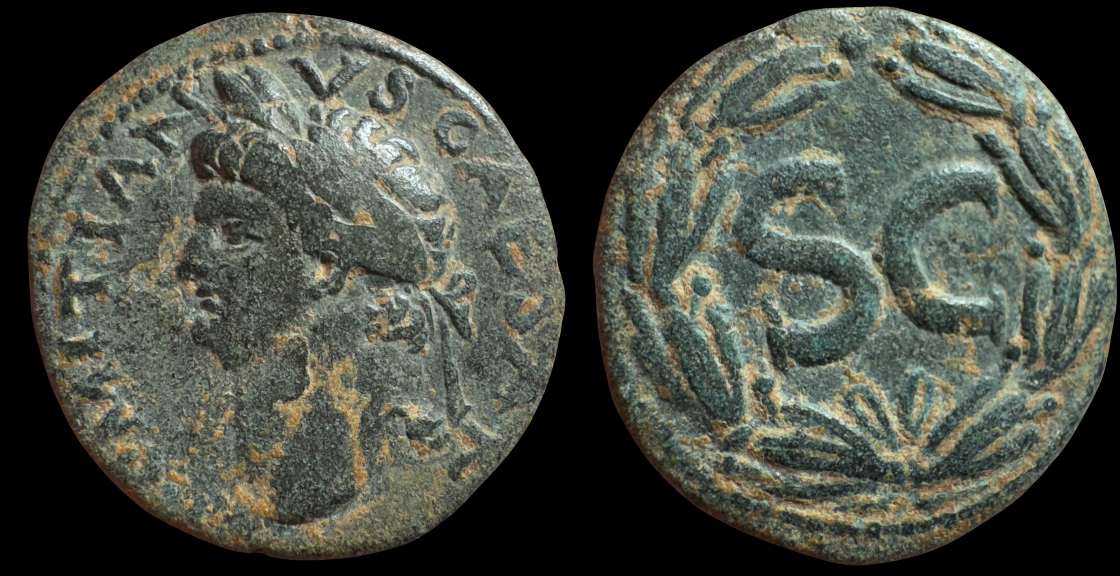 Seleucis & Pieria, Antioch. Domitian. Æ Assarius, ca. 81-96 AD.