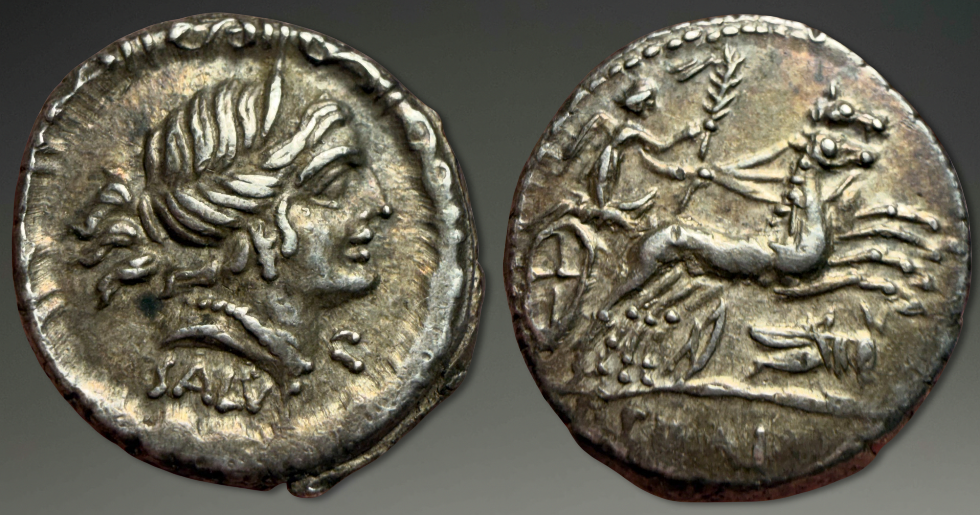 Roman Republic. D. Junius L.f. Silanus. AR Denarius, ca. 91 BC.