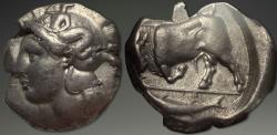 Ancient Coins - Lucania, Thourioi (Thurium). AR Distater, ca. 400-350 BC.