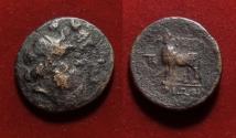 Ancient Coins - THRACE, PERINTHOS circa 250-200 BC. Æ21 Jugate heads of Serapis and Isis / Bull