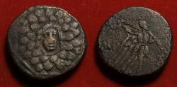 Ancient Coins - PONTOS, Amisos. Æ21. 100-65 BC. Aegis & Nike with palm