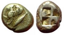 Ancient Coins - MYSIA, KYZIKOS Circa 550-450 BC. EL Stater Forepart of Sphinx
