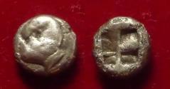 Ancient Coins - IONIA Uncertain. Circa 600-550 BC. Pale EL Hekte Horse