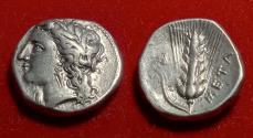 Ancient Coins - Lucania, Metapontum AR Nomos 330-280 BC. Didrachm Demeter Grain