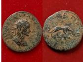 Ancient Coins - Aurelian Cyzicus 270-275 AD. AE Antoninianus Lion to right