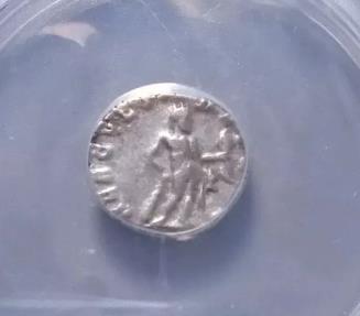 Ancient Coins - Septimius Severus. 193-211 AD. AR Denarius Rome, Hercules ANACS VF30