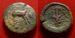 Ancient Coins - KYRENAICA, Kyrene. Circa 308-277 BC. Æ Horse, Jerboa & Silphium plant