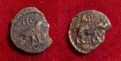 Ancient Coins - Legionary. Legio XV Apollonaris. Commodus. 177-192. Æ Tessera Raven boar