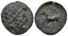 Ancient Coins - Pisidia, Termessos. 71-36 BC. Æ20mm. Zeus / Horse.
