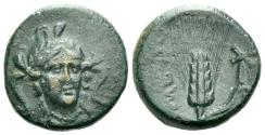 Ancient Coins - Lucania, Metapontum. Bronze circa 280-250
