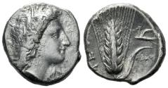 Ancient Coins - Lucania, Metapontum. Nomos circa 330-290