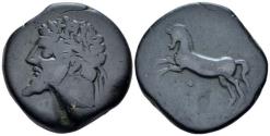 Ancient Coins - Kings of Numidia, Massinissa or Micipsa, 203-148. Unit circa 203-118
