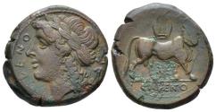 Ancient Coins - Campania, Cales. Bronze circa 265-240