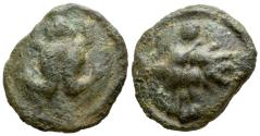 Ancient Coins - Apulia, Luceria. Unica circa 217-212 - Ex Naville Numismatics sale 92, 2024, 33