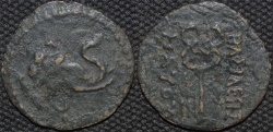 Ancient Coins - INDO-SCYTHIAN: Maues AE hemi-obol, elephant type. BARGAIN-PRICED!