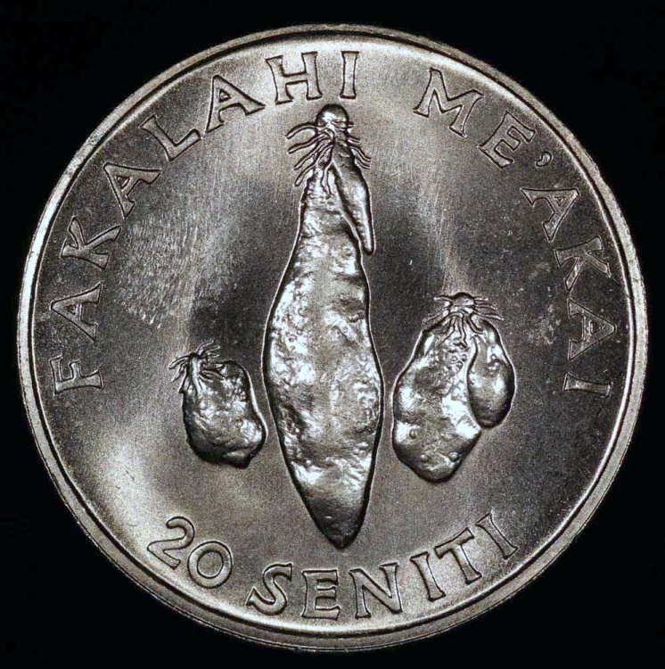 yam coin