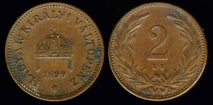 1899 KB Hungary 2 Filler UNC | European Coins