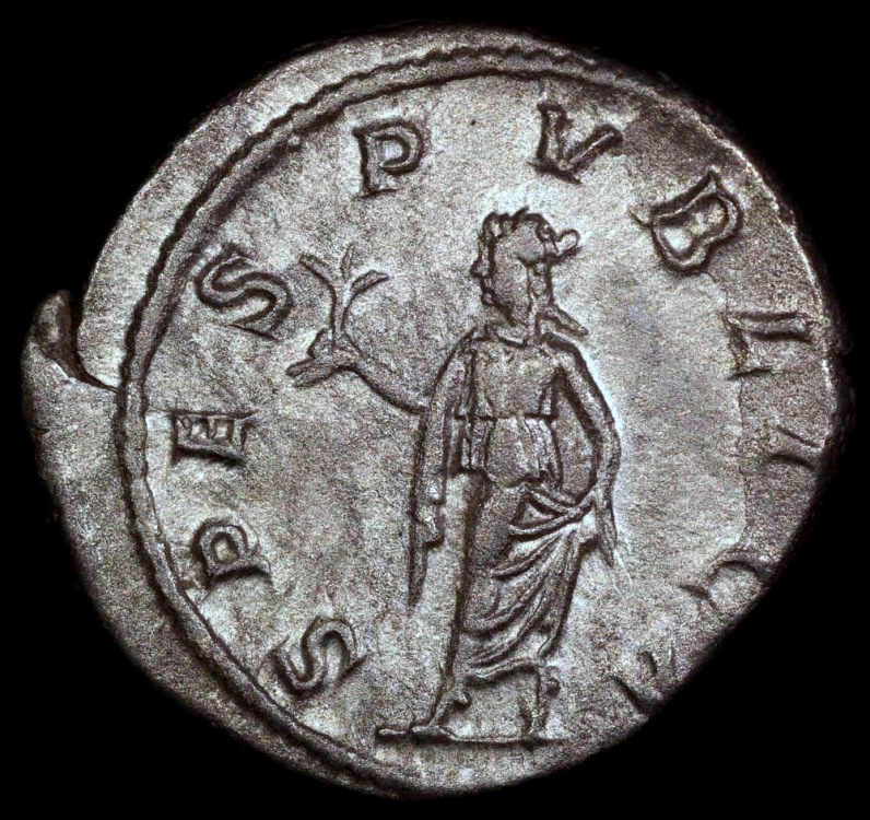 Severus Alexander Ar Denarius - SPES PVBLICA - Rome Mint