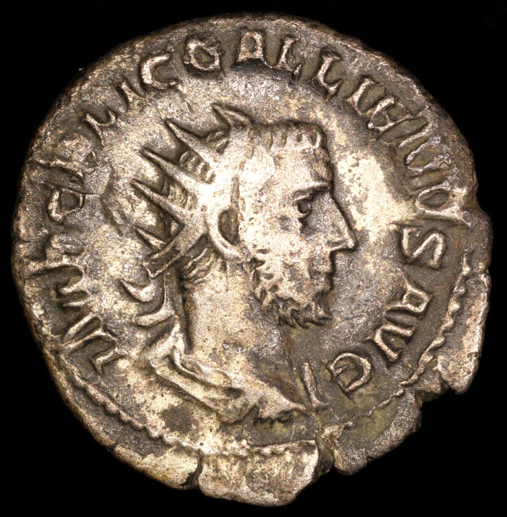 Gallienus Antoninianus - PAX AVG - Rome Mint | Roman Imperial Coins