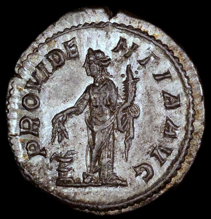 Severus Alexander Denarius - PROVIDENTIA AVG - Rome Mint | Roman ...