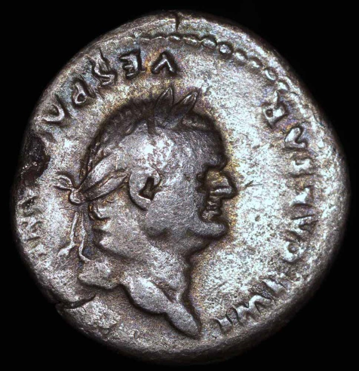 Vespasian Denarius - COS VII - Rome Mint | Roman Imperial Coins