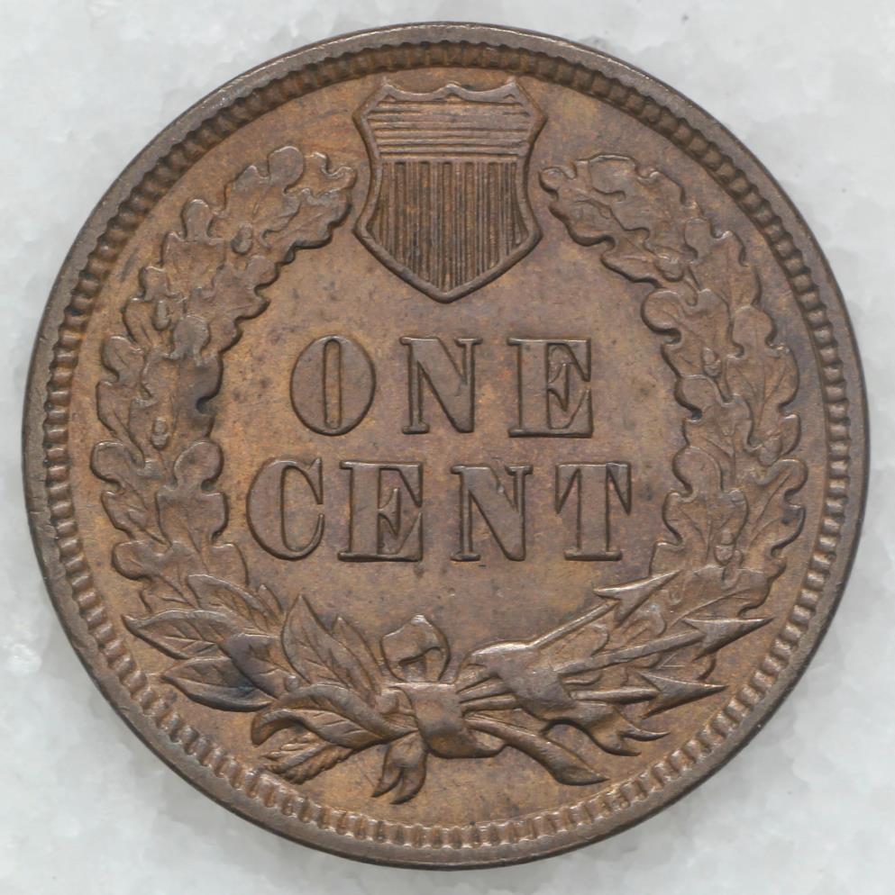 1891 Indian Head Cent - AU | Small Cents