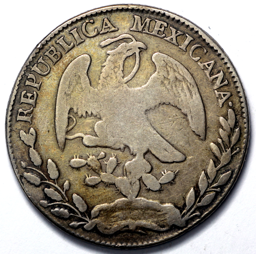 モンゴリラ eS9STn375Q2fL3xe8AFapN58A4Mink.jpg