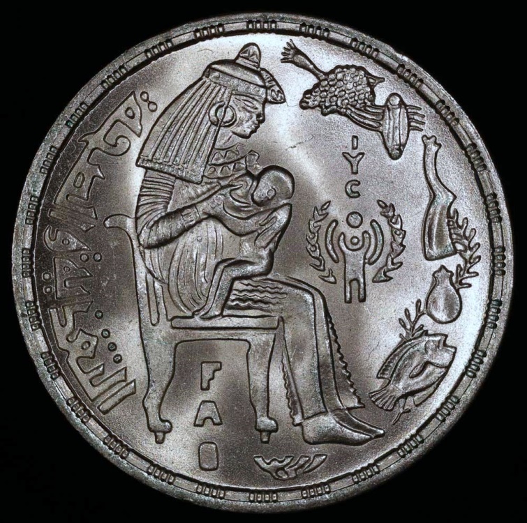 1979 Egypt 1 Pound - FAO Year of the Child - Silver - BU | African Coins