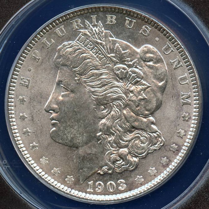 1903 Morgan Dollar - VAM 5 ANACS MS63 | Dollars