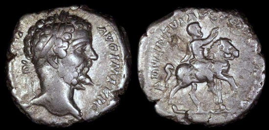 Ancient Coins - Septimius Severus Denarius - ADVENTVI AVG FELICISSIMO - Rome Mint