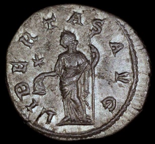 Ancient Coins - Severus Alexander Denarius - LIBERTAS AVG - Antioch Mint