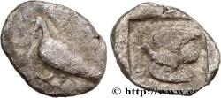 Ancient Coins - SIKYONA - SIKYON Sicyone, Sikyonie c. 450-425 AC. (7,5mm, 0,42g, 12h)