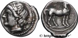 Ancient Coins - ZEUGITANA - CARTHAGE Carthage, Zeugitane c.  220-210 AC. (15mm, 2,16g, 3h)