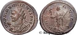 Ancient Coins - MAXIMIANUS HERCULIUS Lyon 290-291 (22,5mm, 3,27g, 12h)
