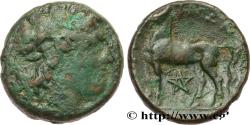 Ancient Coins - BRUTTIUM - NOCERA Bruttium, Nuceria c. 325-300 AC. (20mm, 8,31g, 11h)