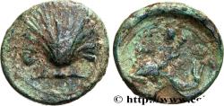 Ancient Coins - CALABRIA - TARAS Tarente, Calabre c. 275-200 AC. (17mm, 3,64g, 2h)