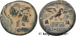 Ancient Coins - PHRYGIA - APAMEIA Apamée, Phrygi c. 88-48 AC. (21,5mm, 8,72g, 1h)