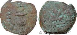 Ancient Coins - JUDAEA - FIRST REVOLT Jérusalem, Judée 67- 68 (16mm, 2,33g, 12h)