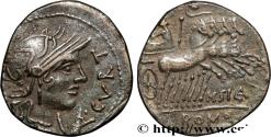 Ancient Coins - CURTIA Rome 116-115 AC. (19mm, 3,22g, 5h)
