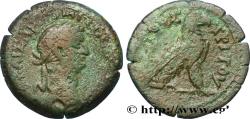 Ancient Coins - DOMITIANUS Alexandrie, Égypte 83-84 (24,5mm, 8,93g, 12h)
