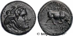Ancient Coins - SYRIA - SELEUKID KINGDOM - SELEUKOS I NIKATOR Séleucie du Tigre, Babylonie c. 305-304 AC. (15mm, 3,40g, 9h)