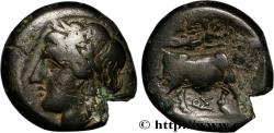 Ancient Coins - CAMPANIA - NEAPOLIS Naples, Campanie c. 275-250 AC. (18mm, 5,32g, 3h)