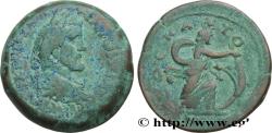 Ancient Coins - ANTONINUS PIUS Alexandrie, Égypte 146-147 (34mm, 26,23g, 12h)