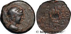 Ancient Coins - SYRIA - SELEUKID KINGDOM - ANTIOCHUS VII SIDETES Antioche, Syrie 138-127 AC. (18,5mm, 5,39g, 1h)