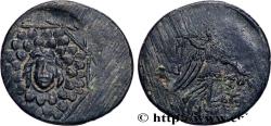 Ancient Coins - PONTUS - AMISOS Amisos, Pont c. 105-90 ou 90-85 AC. (23mm, 6,83g, 12h)