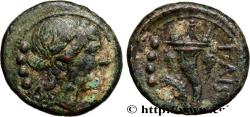 Ancient Coins - LUCANIA - PAESTUM Lucanie, Paestum c. 218-201 AC. (17,5mm, 5,33g, 6h)