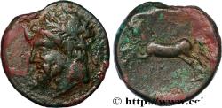 Ancient Coins - NUMIDIA - KINGDOM OF NUMIDIA - MASINISSA or MICIPSA Cirta, Numidie c. 150 AC. (26,5mm, 14,53g, 12h)